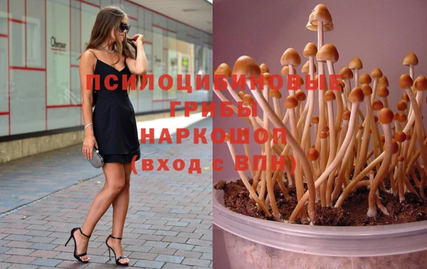 метадон Абдулино