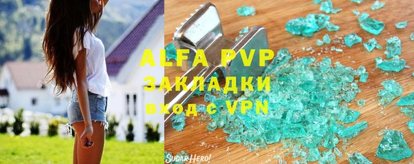 хмурый Абаза
