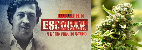 крисы Абинск