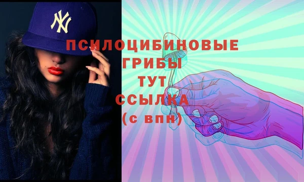 крисы Абинск