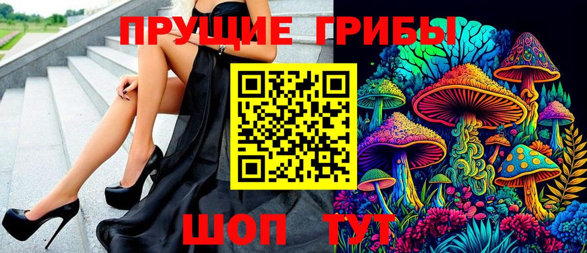 Псилоцибиновые грибы Cubensis Октябрьский